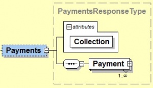 PaymentsResponse(Type).jpg